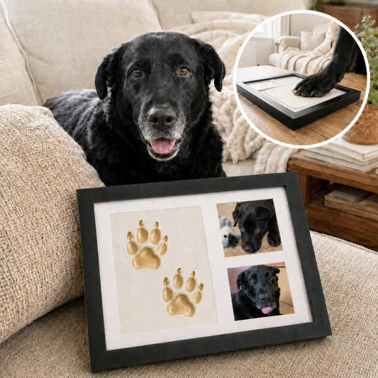 The PawsFrame